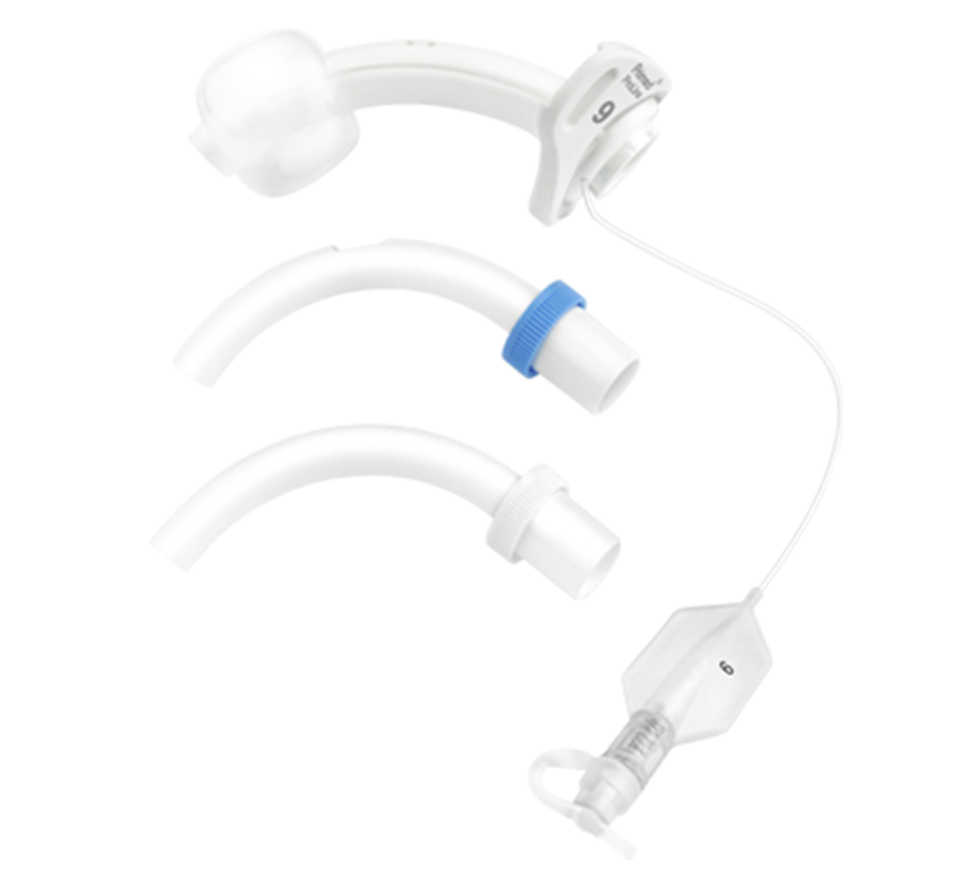 Proline eine Innovation von Primed